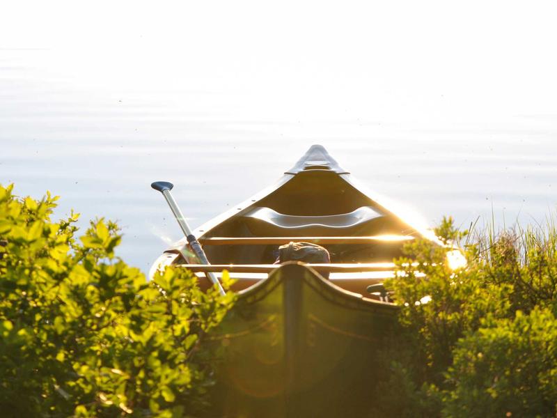 sudoku championship screenshot 2